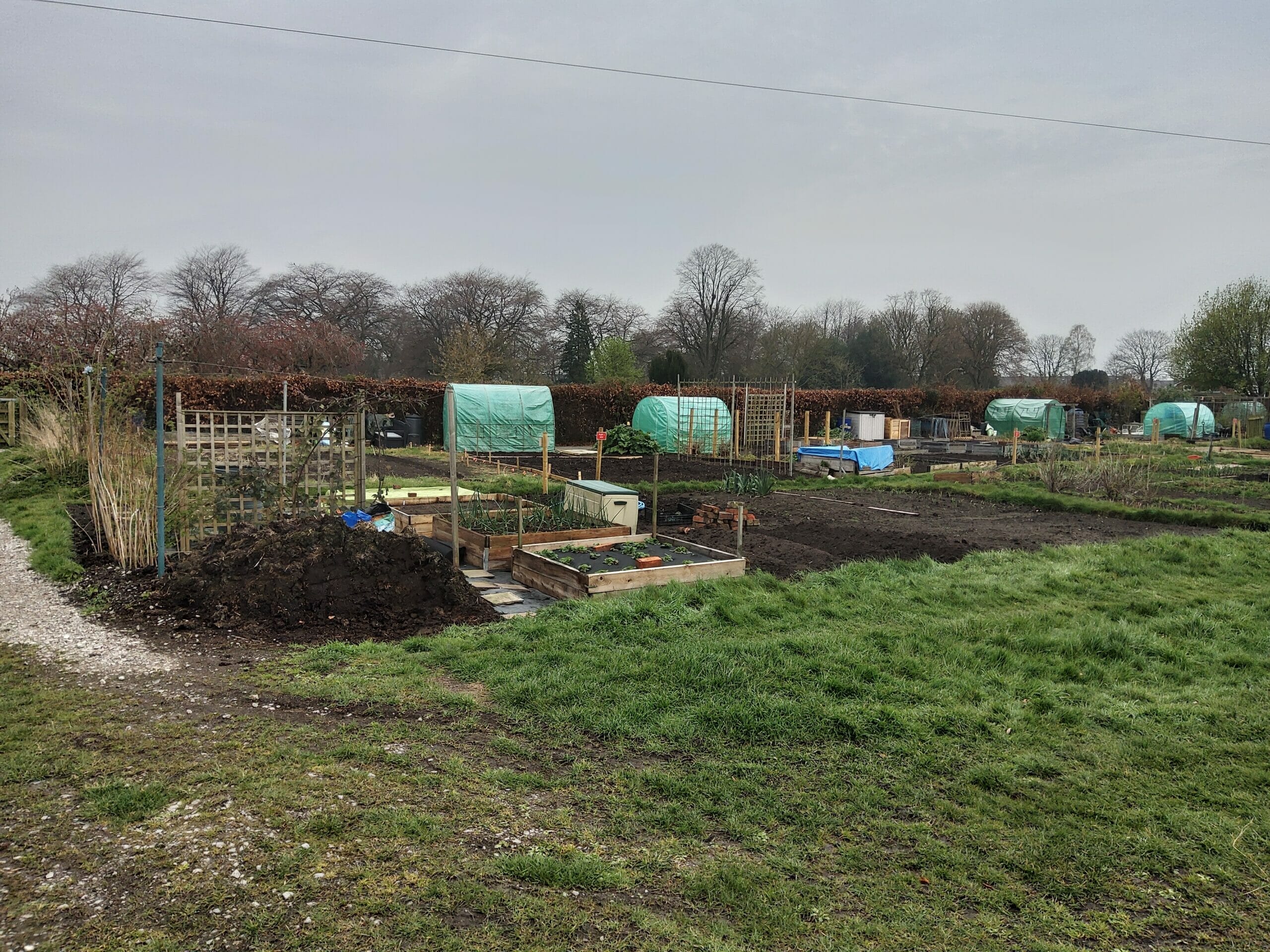 A photo of the allotments