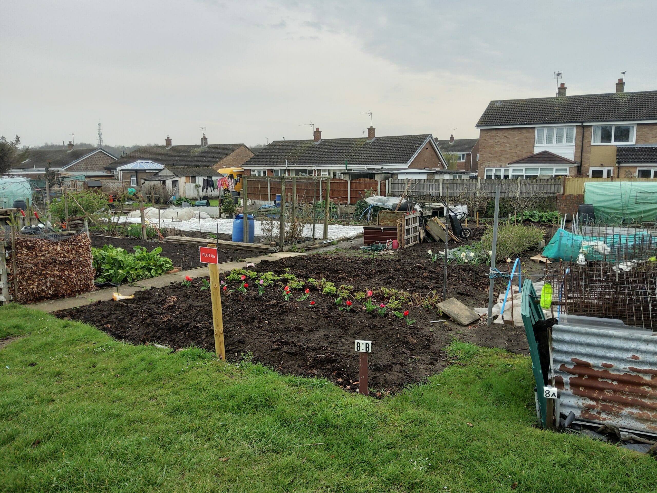 A well maintained allotment plot