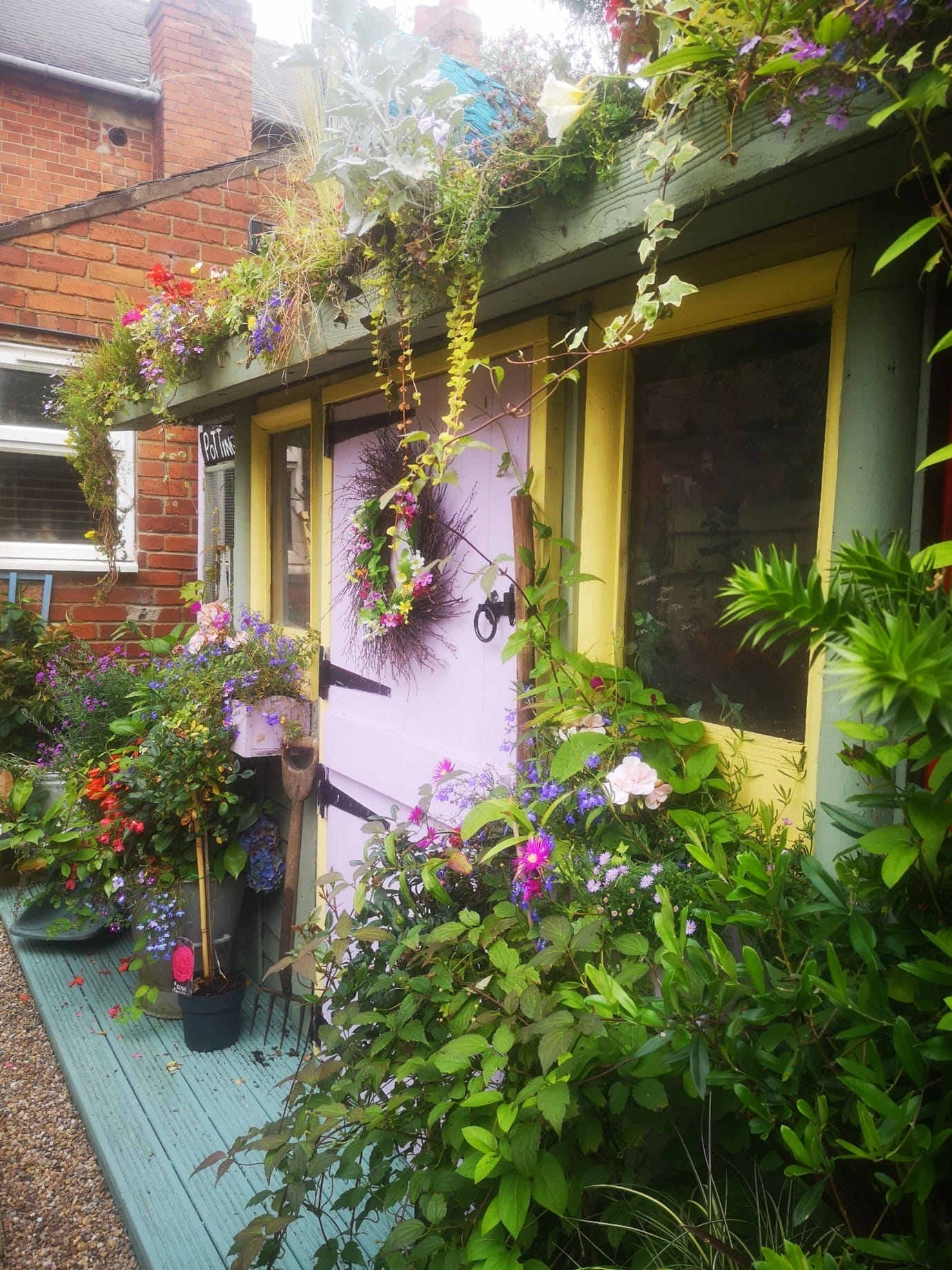 A photo showing a residents colourful shed covered in beautiful flowers and plants