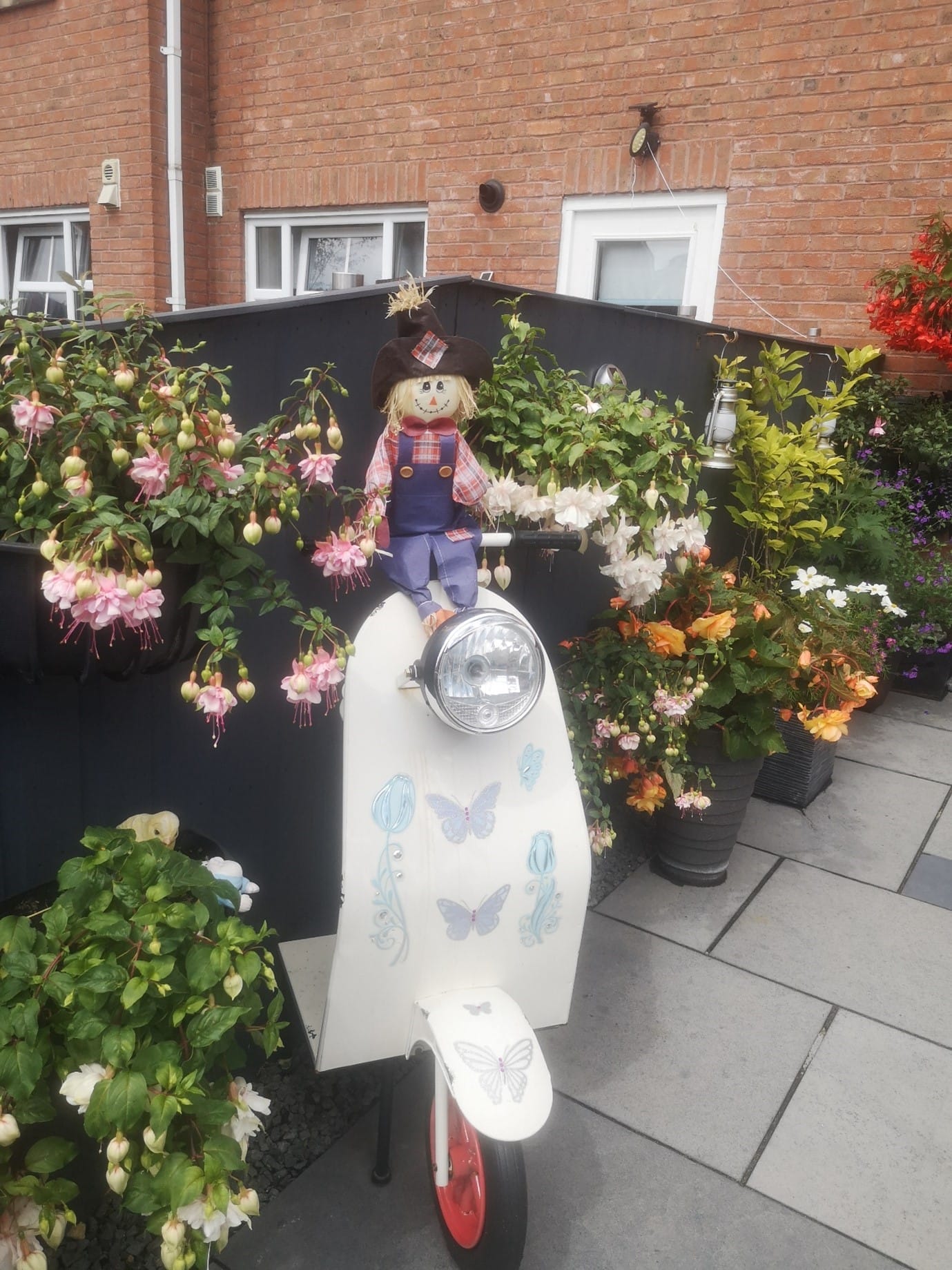 A photo of a residents garden 1