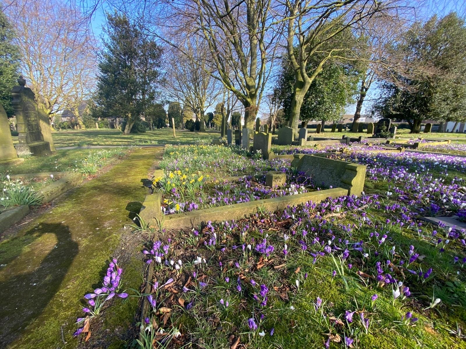 The picture shows the cemetery in springtime.