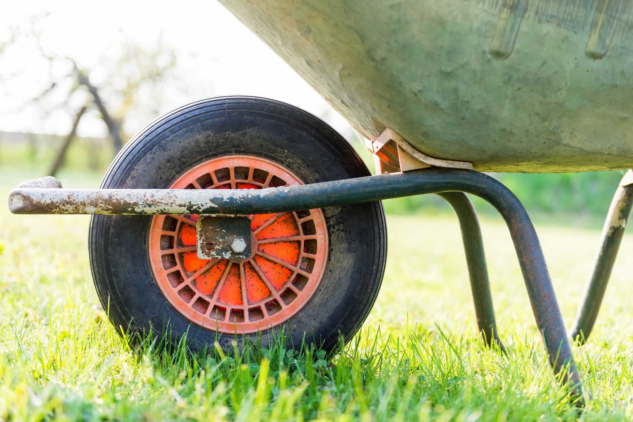 Community Activity Day