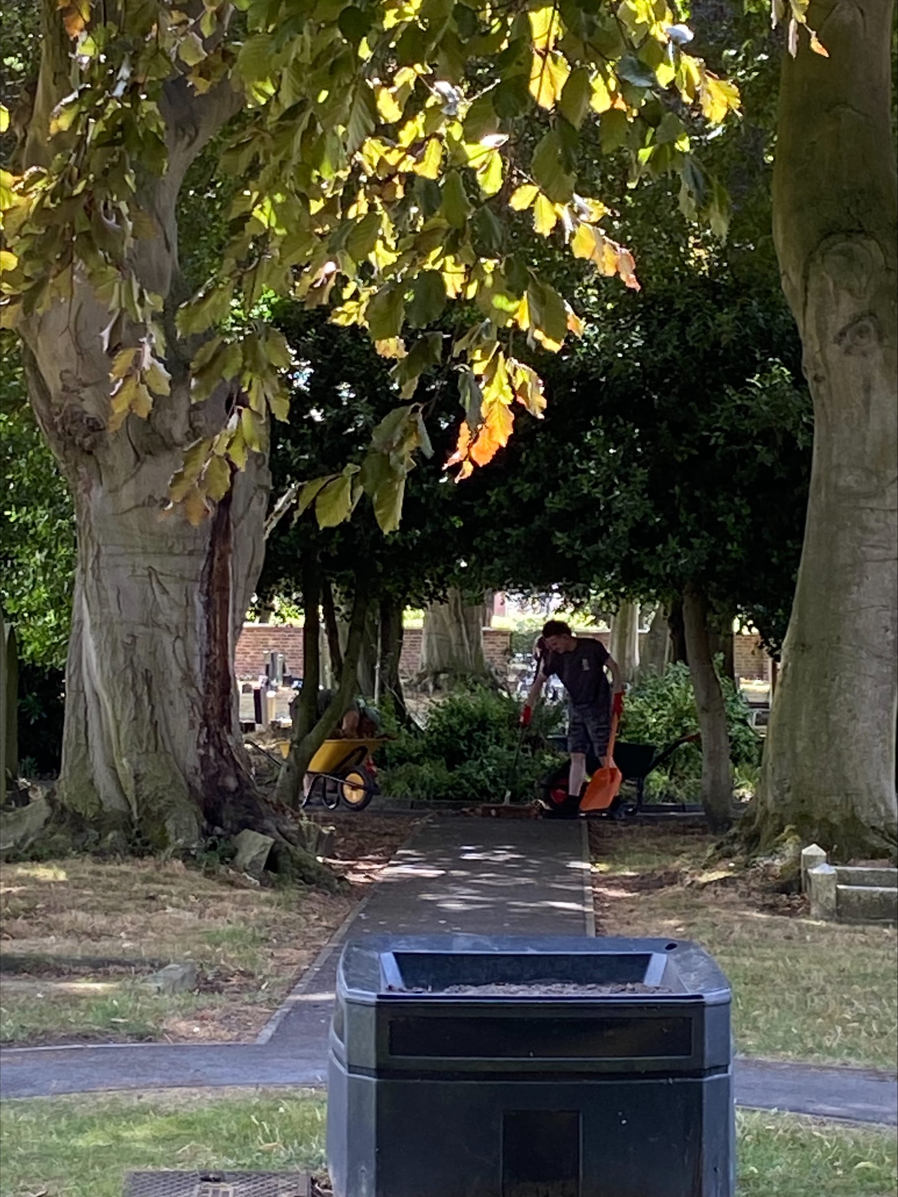 Community Activity Day 3rd July